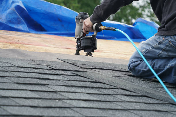 Best Asphalt Shingles Roofing  in Oberlin, LA